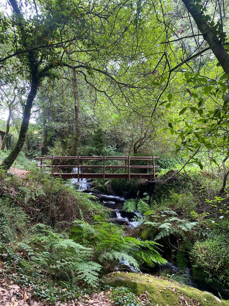 Puente en la Ruta da Pedra e da Auga en O Salnés