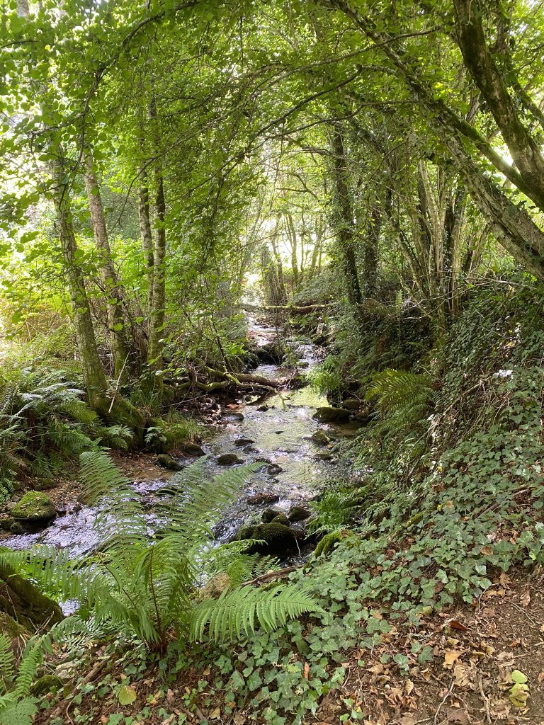 Senderismo en la Ruta da Pedra e da Auga Galicia