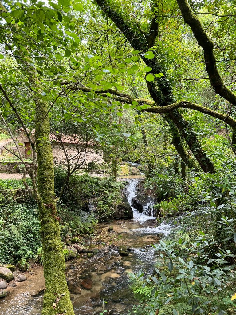 Molino en la Ruta da Pedra e da Auga en O Salnés